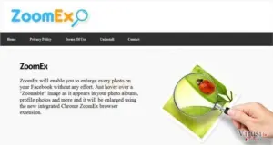 ZoomEx virus
